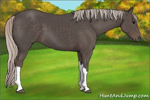 Horse Color:Silver Black 