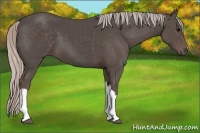 Horse Color:Silver Black 