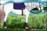 Horse Color:White Spotted Bay Dun Appaloosa Rabicano 