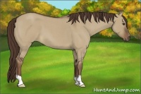 Horse Color:Liver Red Dun Roan 