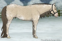 Horse Color:Classic Cream Champagne Ice 