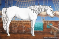 Horse Color:Silver Bay Appaloosa Rabicano