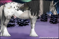 Horse Color:Midnight Silver Grullo Sabino Splash Appaloosa and Blue Onyx Ice Splash Appaloosa