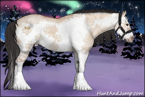 Horse Color:Bay Ice Dun Splash Frame 
