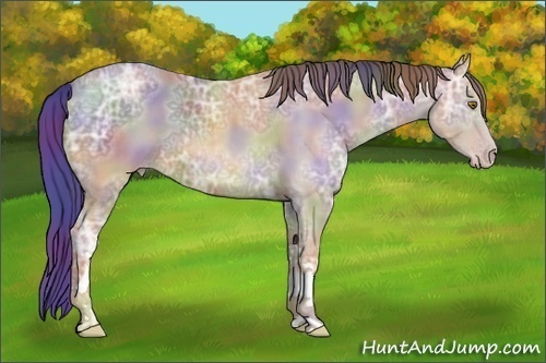 Horse Color:Nacre Classic Cream Champagne Ice 