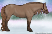Horse Color:Liver Red Dun 