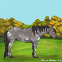 Horse Color:Smoky Grullo Ice 