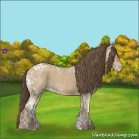 Horse Color:Classic Cream Champagne Ice 