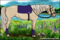 Horse Color:Palomino Roan Dun 