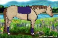 Horse Color:Red Dun Tobiano 