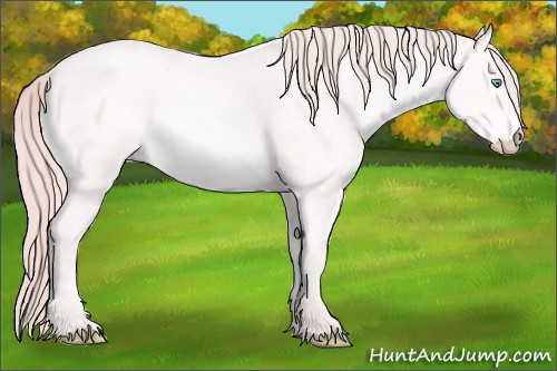 Horse Color:Perlino Roan 