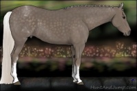 Horse Color:White Spotted Silver Black 