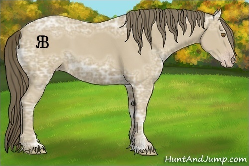 Horse Color:Classic Cream Champagne Ice 