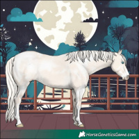 Horse Color:Cremello Dun Sabino