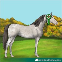 Horse Color:Classic Cream Champagne Ice 