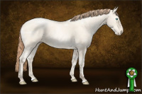 Horse Color:Classic Cream Champagne Ice Pearl 