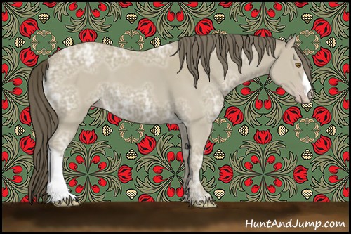 Horse Color:Classic Cream Champagne Ice 