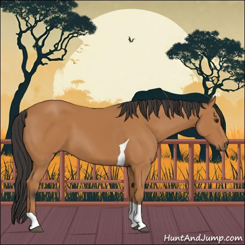 Horse Color:Bay Tobiano 