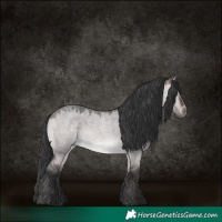 Horse Color:Platinum Bay Roan Dun 