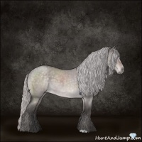 Horse Color:Platinum Silver Brown Roan Dun
