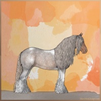 Horse Color:Silver Buckskin Roan Tobiano Appaloosa Rabicano 