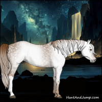 Horse Color:Gray Chestnut 