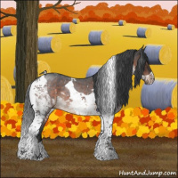 Horse Color:Brown Roan Tobiano