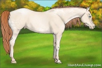 Horse Color:Classic Cream Champagne Ice Pearl 