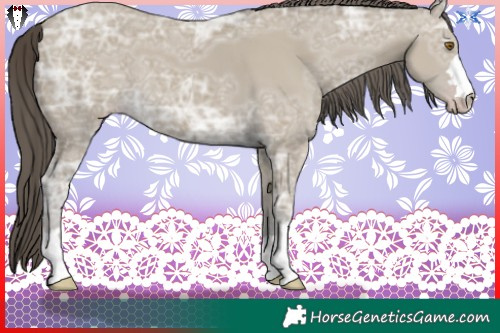 Horse Color:Classic Cream Champagne Ice 