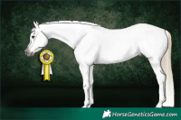 Horse Color:Gray Liver Chestnut Tobiano Blanket 