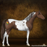 Horse Color:Liver Chestnut Tobiano 