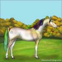 Horse Color:Platinum Painted Bay Onyx 