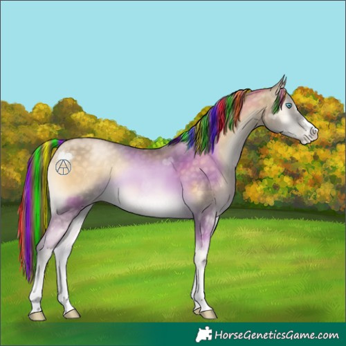 Horse Color:Painted Buckskin Pearl Onyx 