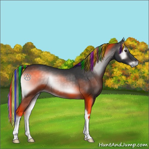 Horse Color:Platinum Painted Brown Onyx 