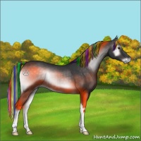 Horse Color:Platinum Painted Brown Onyx 