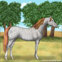 Horse Color:Painted Perlino Ice Roan Onyx 