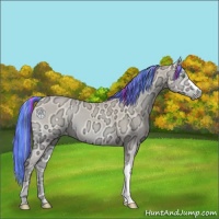 Horse Color:Painted Perlino Ice Onyx 
