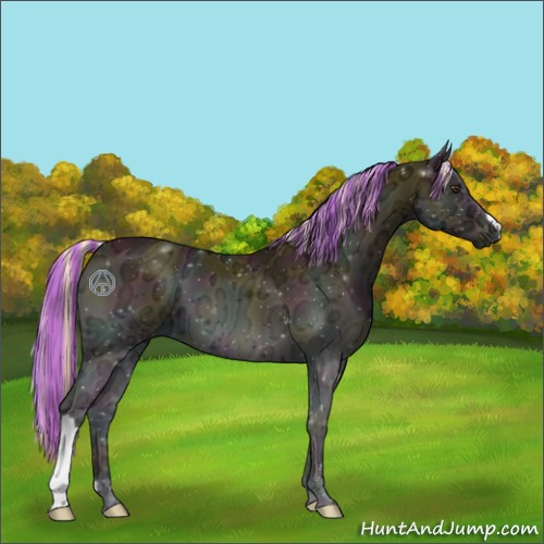 Horse Color:Painted Midnight Palomino Ice Onyx 