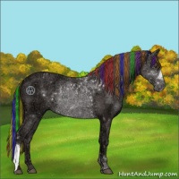 Horse Color:Painted Liver Chestnut Ice 