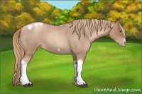 Horse Color:Liver Red Roan Pearl Tobiano Frame