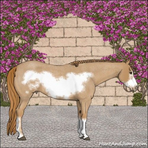 Horse Color:Red Roan Frame 