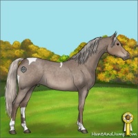 Horse Color:Silver Blue Roan Tobiano