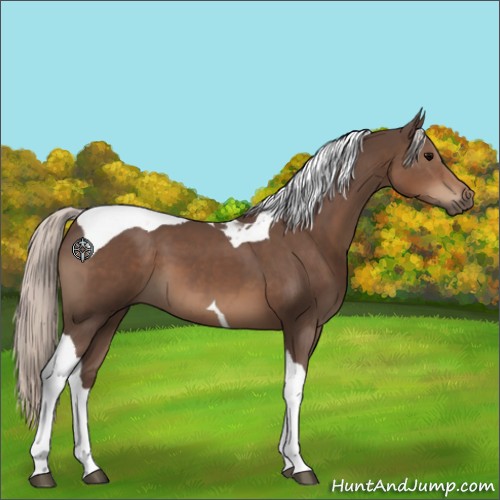 Horse Color:Silver Black Tobiano