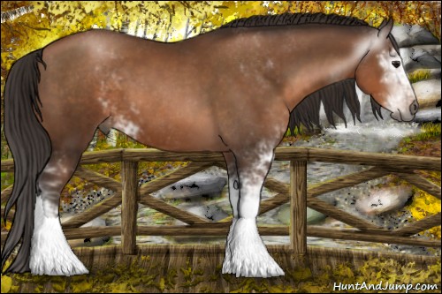 Horse Color:Gray Brown Pearl Sabino