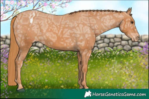Horse Color:Chestnut Ice Varnish