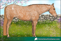 Horse Color:Chestnut Ice Varnish 
