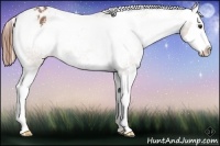 Horse Color:White Spotted Chestnut Splash Varnish Rabicano