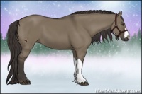 Horse Color:Smoky Grullo 