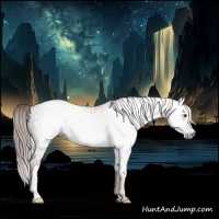 Horse Color:Gray Chestnut 