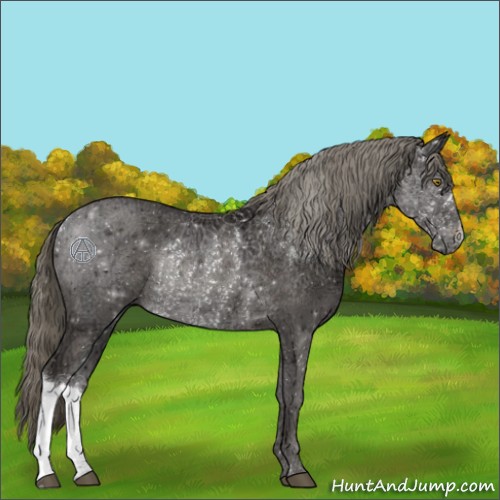 Horse Color:Liver Chestnut Ice Mushroom Rabicano